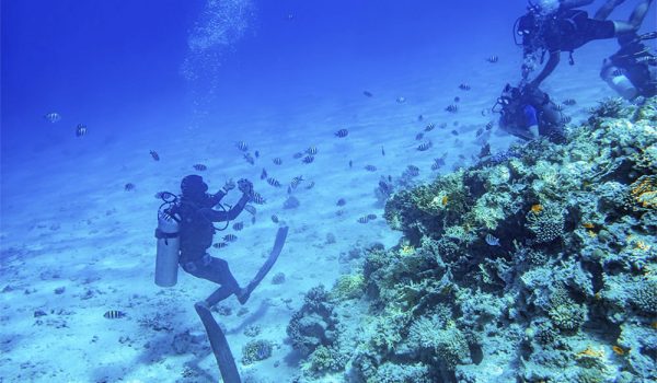 3543buceo_recrea